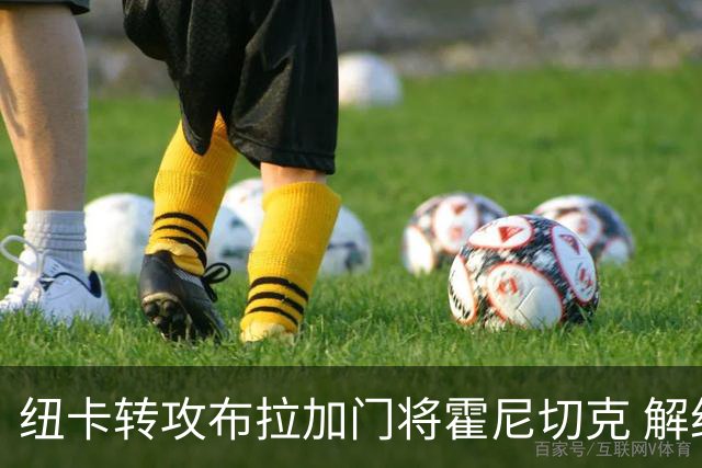 纽卡转攻布拉加门将霍尼切克 解约金2590万镑交易或迅速敲定